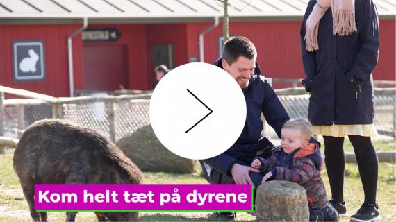 Video af Madsby Legepark